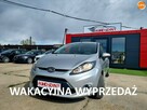 Ford Fiesta - 1