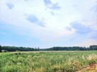 Działka budowlana Białystok Dojlidy Górne - 4