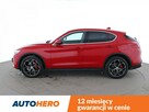 Alfa Romeo Stelvio 4x4, 280KM, skóra, navi, klima auto, LED, grzane fotele - 3