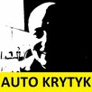 DIAGNOSTYKA KOMPUTEROWA AUTA KATOWICE, ŚLĄSK 24H/7! - 3