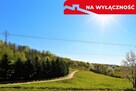 Na sprzedaż działka idealna pod winnice - 2