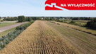 Działka budowlana 0.55 ha Sielce gm. Końskowola - 7