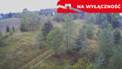 Działka budowlana ok.20 ar Gołąb g. Michów - 15