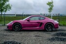 Porsche 718 Cayman Style Edition Salon PL, Serwis ASO, FV23 - 10