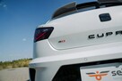 Seat Ibiza Cupra ABT, unikatowa, idealny stan techniczny - 13