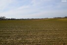 Działka budowlana Panieńszczyzna gm. Jastków - 2