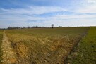 Działka budowlana Panieńszczyzna gm. Jastków - 3