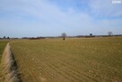 Działka budowlana Panieńszczyzna gm. Jastków - 4