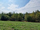 Działka budowlana Tuchów - 13