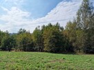 Działka budowlana Tuchów - 15