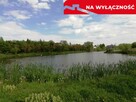 Działka o pow. 4,6 ha w Klementowicach gm. Kurów. - 8