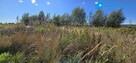 Kształtna działka do budowy bliźniaka !!!