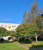 Mieszkanie 3-pokoje, Tychy,osiedle R,niska zabudowa,2 piętro - 12