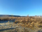 Działka inwestycyjna Luciny gm. Śrem, - 1