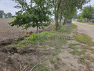 Działka budowlana Kokorzyn gm. Kościan, - 3