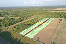 Działka rolna zalesiona, Jagodno, powiat łęczyński - 1