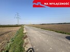 Działka rolno-budowlana 0,31 ha w Gołębiu k/Puław. - 4