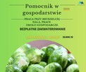 Praca dla rzeźnika w Niemczech - blisko polskiej granicy