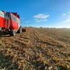 Zbiór Kukurydzy na Ziarno z transportem Tanio - 2