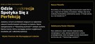 Strony Internetowe Sklepy Internetowe Wordpress Prestashop - 4