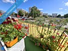 Sprzedam mieszkanie na parterze,2 pokoje,balkon - 11