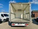 Renault Master SALON PL / Chłodnia Mrożnia -20st.C - THERMO KING / 8 EP / 247 tys.km - 5