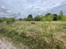 Działka 1064m2 (warunki zabudowy, miasto Jastrząb) - 5