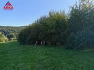 Działka budowlana Tarnawa gm. Łapanów - 4