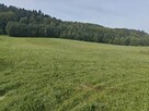 Działka budowlana rekreacyjna w Bieszczadach - 5