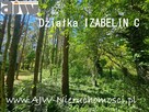 Działka budowlana Izabelin C gm. Izabelin, Izabelin