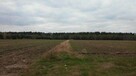 Sprzedam ziemię rolną - 2