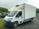 Ducato 2.3 Chłodnia Kontener - 1
