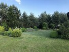 Sprzedam działkę z domkiem - 9
