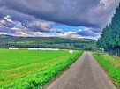 Działka w górach – Karlików, gm. Bukowsko | 2,95 ha z dojazd - 13