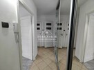 Mieszkanie Golub Dobrzyń Golub Dobrzyń - 8