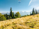 Widokowa działka rolna na ul. Kotelnica, Zakopane - 12