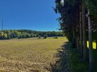 Działki | Ciechanów | ul. Leśna | 2367 m2 - 4