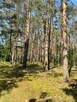 Dom Jabłonka Stara gm. Miedzichowo, Jabłonka Stara - 11