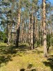 Dom Jabłonka Stara gm. Miedzichowo, Jabłonka Stara - 12