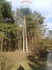 Działka Leśna w Radomiu -inwestycyjna  7307m2 - 1