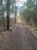 Działka Leśna w Radomiu -inwestycyjna  7307m2 - 5
