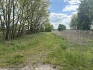 Działka budowlana 3089 m² – Bronisławów, Gmina Głowno - 5