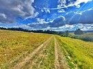 Działka w górach – Karlików, gm. Bukowsko | 2,95 ha z dojazd - 9