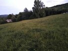 Działka w Beskidzie Niskim- Twoje miejsce na relaks i spokój - 2