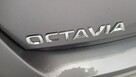 Škoda Octavia 2.0 TDI Ambition! Z Polskiego Salonu ! Faktura 23% ! - 13