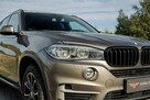 BMW X5 25d xDrive, bezwypadkowy, salon Polska, pierwszy właściciel, FV - 13