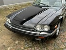 V12 Cabrio Automat Skóra XJS XK8 XKR Zobacz LUXURYCLASSIC - 10