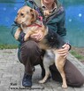 Rati szuka domu - 4