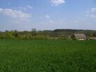 Duża działka na 2 domy, nad jeziorem, 35 km od Poznania - 2