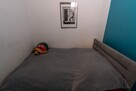 2 pokoje/cegła PARTER - 15